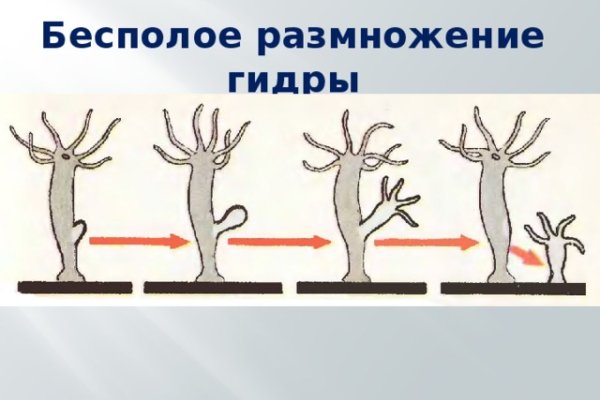 Кракен сайт store