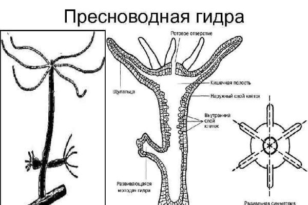 Кракен сайт ссылка kraken clear com