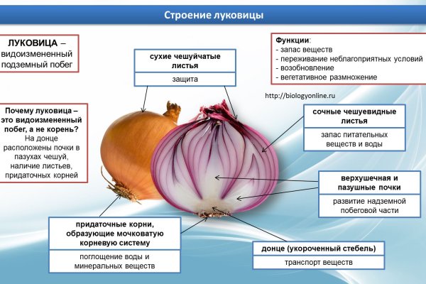 Ссылка на кракен 15ат